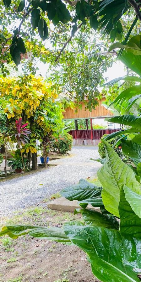Hospedaje Quepos Dış mekan fotoğraf
