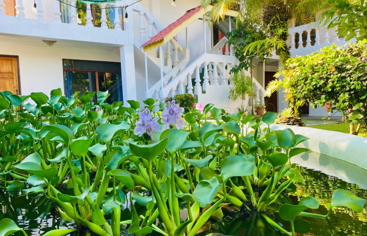 Hospedaje Quepos Dış mekan fotoğraf